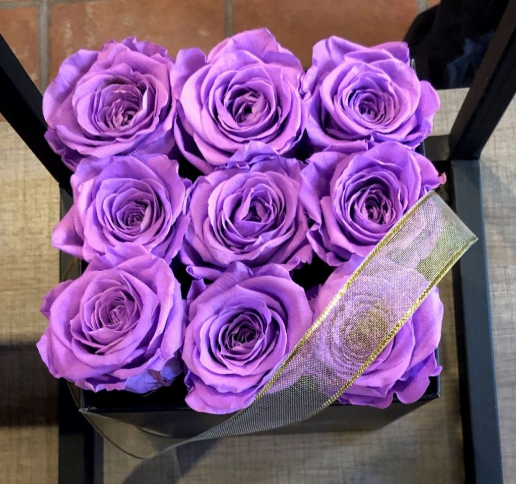 Rose Success Farm Exporter Cotopaxi Equador
