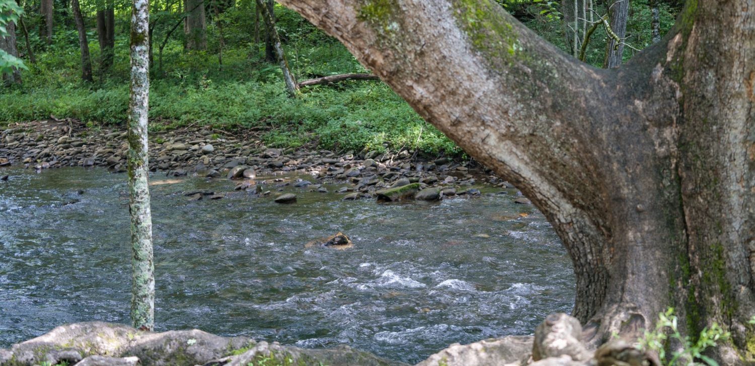 Oconaluftee River at visitors center Oconaluftee River at Visitor's Center Great Smoky Mountains National Park