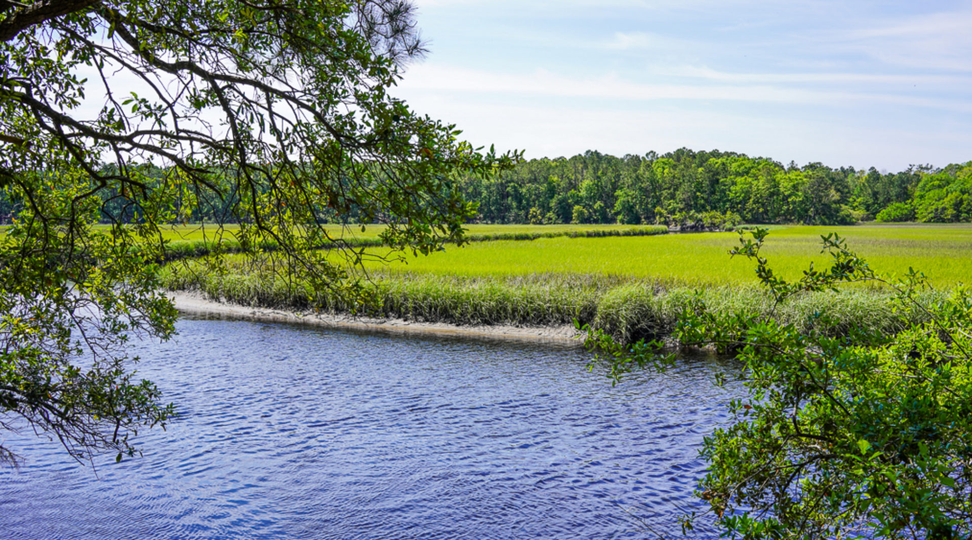 Live Oaks, Palmettos, and Pines Amid Scenic Coastal Marsh and Maritime Forest