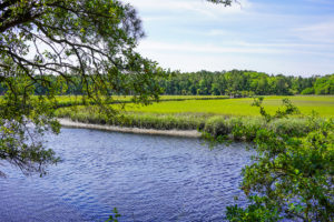 Live Oaks, Palmettos, and Pines Amid Scenic Coastal Marsh and Maritime Forest