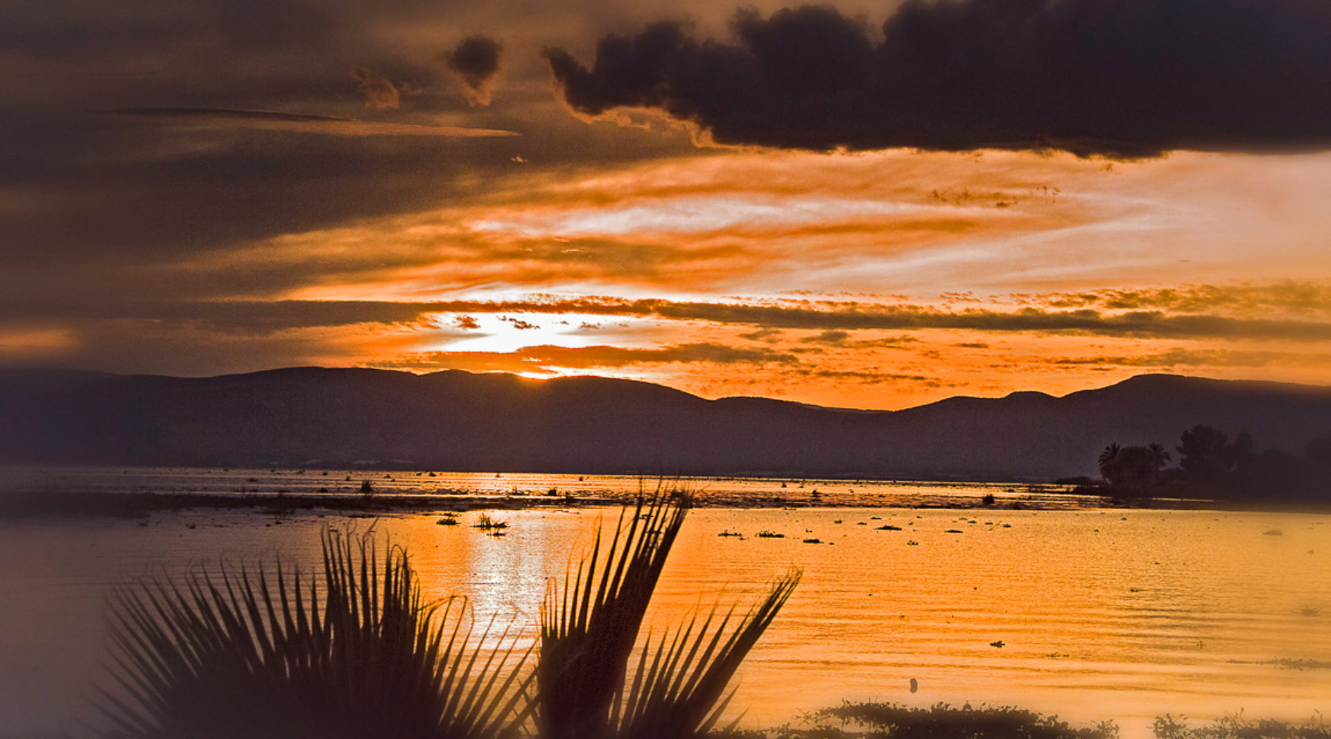 A New Beginning in Ajijic, Mexico