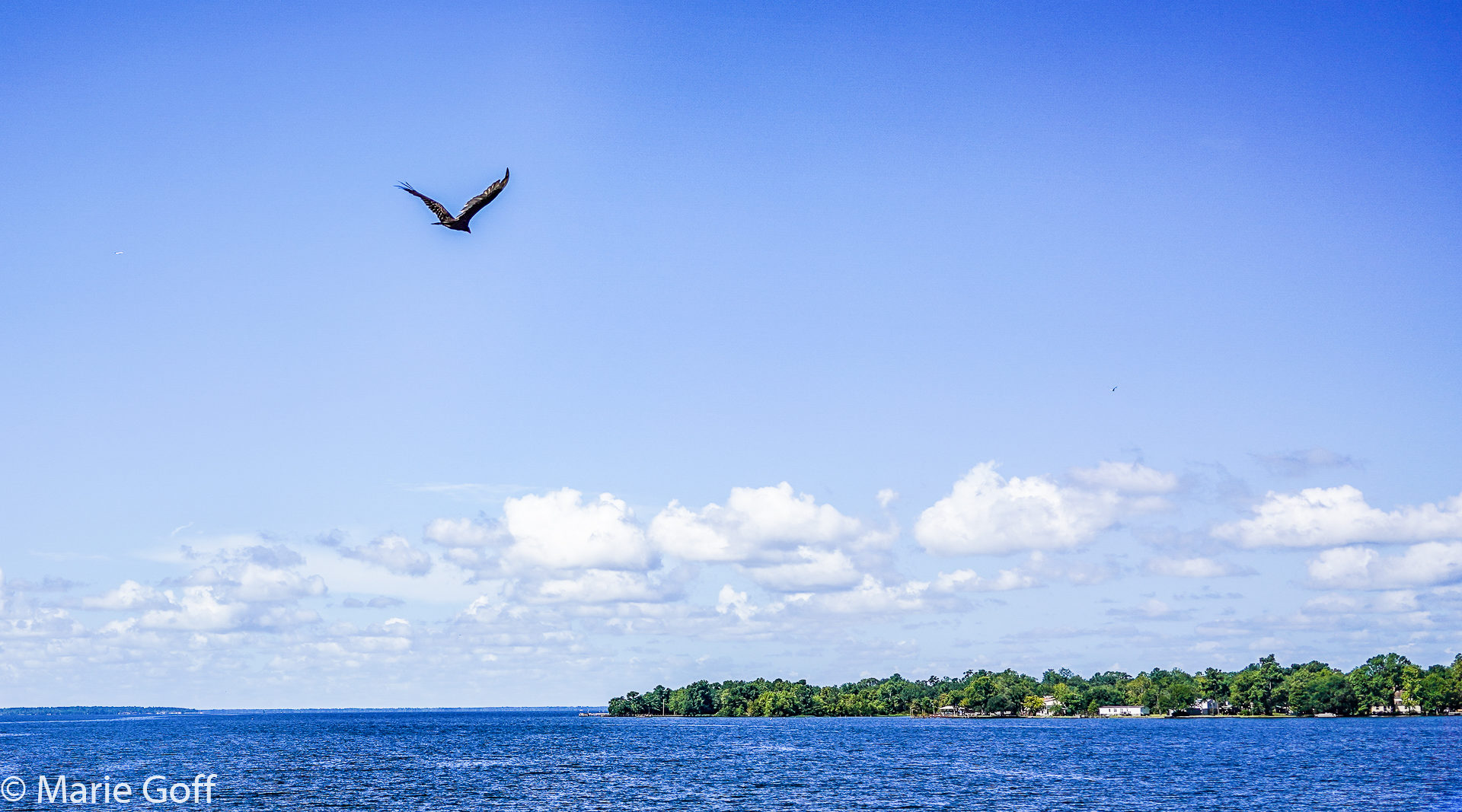 Lake Moultrie Passage with Tom Mullikin and South Carolina 7 2020