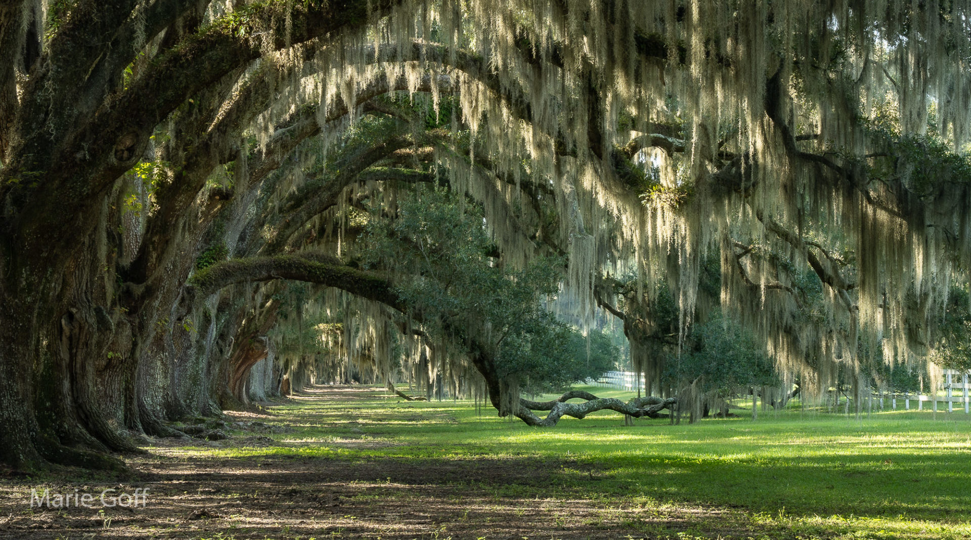 Lowcountry Photography and Fascinating Civil War History in Beaufort, S.C.