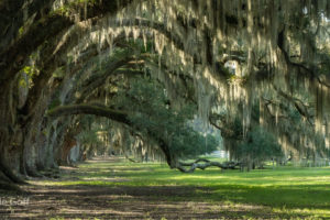 Lowcountry Photography and Fascinating Civil War History in Beaufort, S.C.