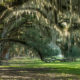 Lowcountry Photography and Fascinating Civil War History in Beaufort, S.C.