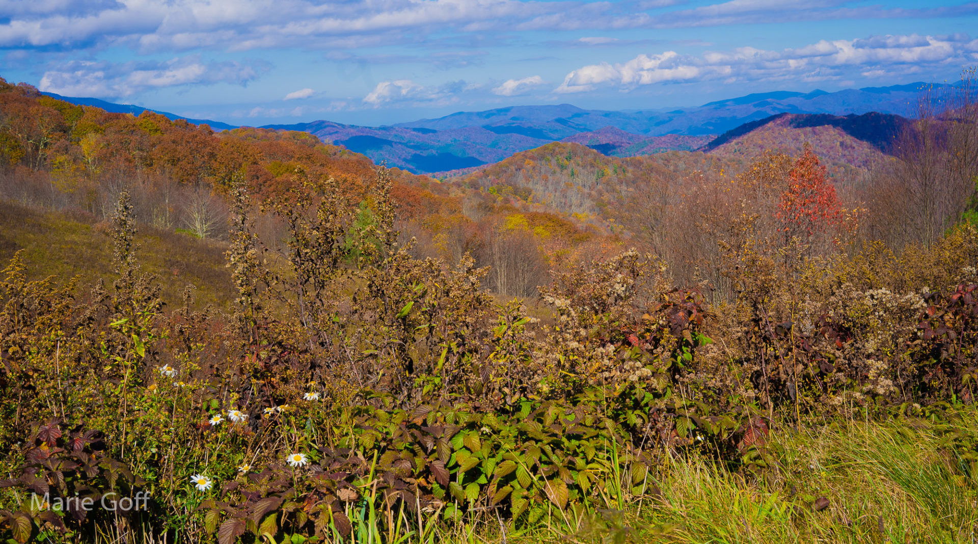 Why Purchase Knob Trail Offers the Best Day Hiking Adventure