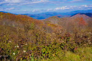 Why Purchase Knob Trail Offers the Best Day Hiking Adventure