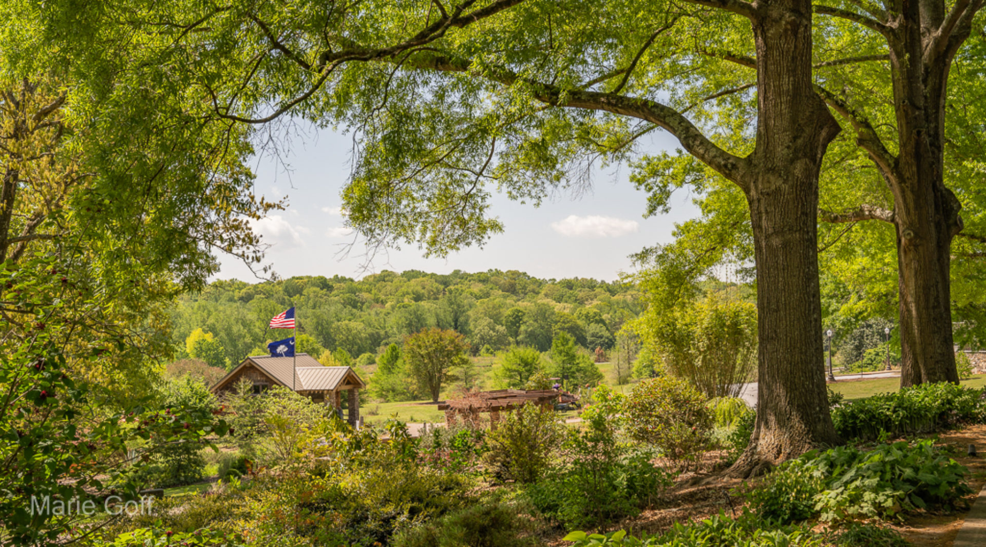 Five Reasons to Love the South Carolina Botanical Garden