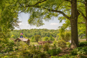 Five Reasons to Love the South Carolina Botanical Garden