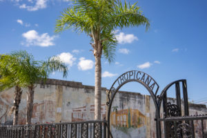 Five Simple Ways to Enjoy Tampa, Florida Like a Local