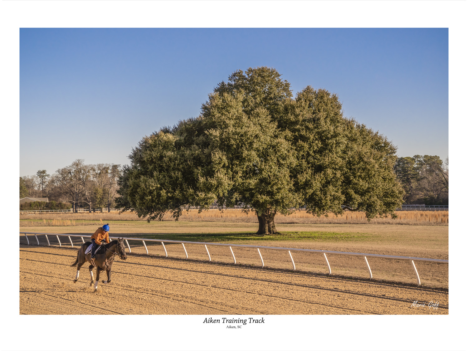 Aiken Training Track for horses in Aiken, S.C.