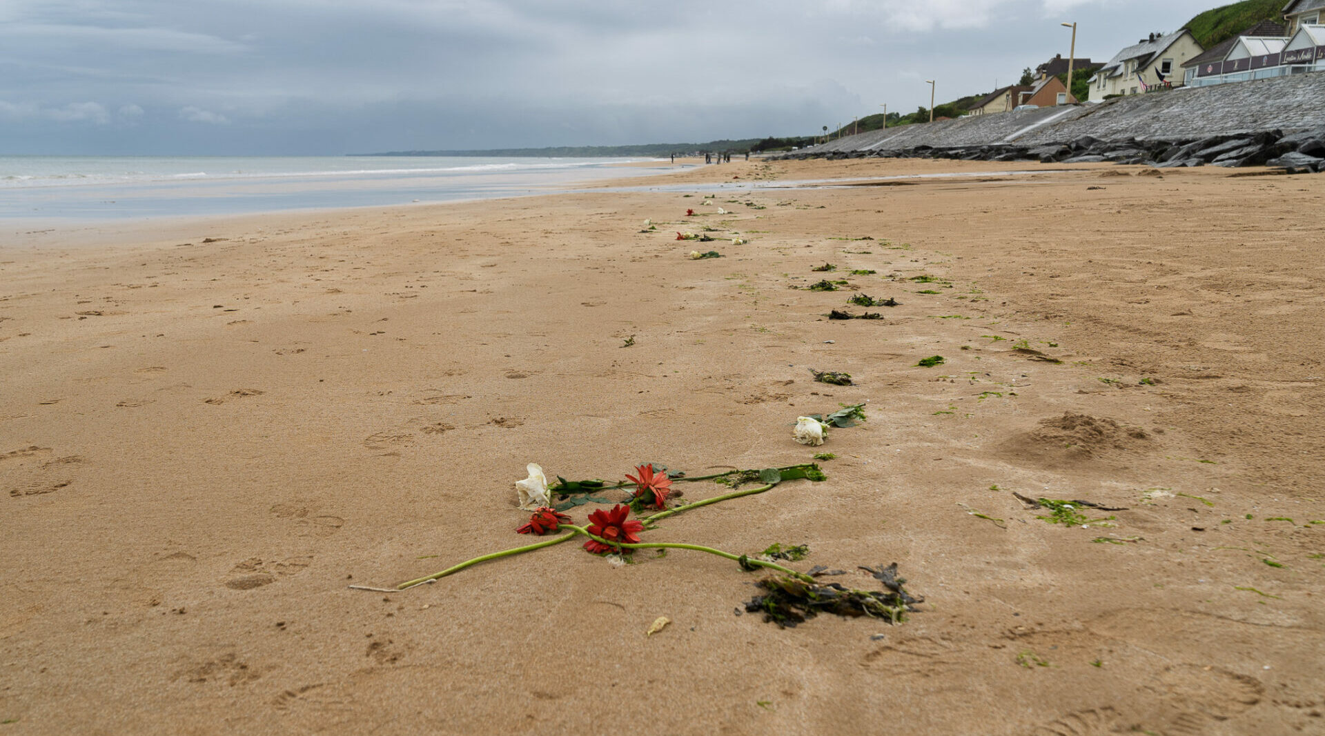Love and Gratitude on the Anniversary of D-Day