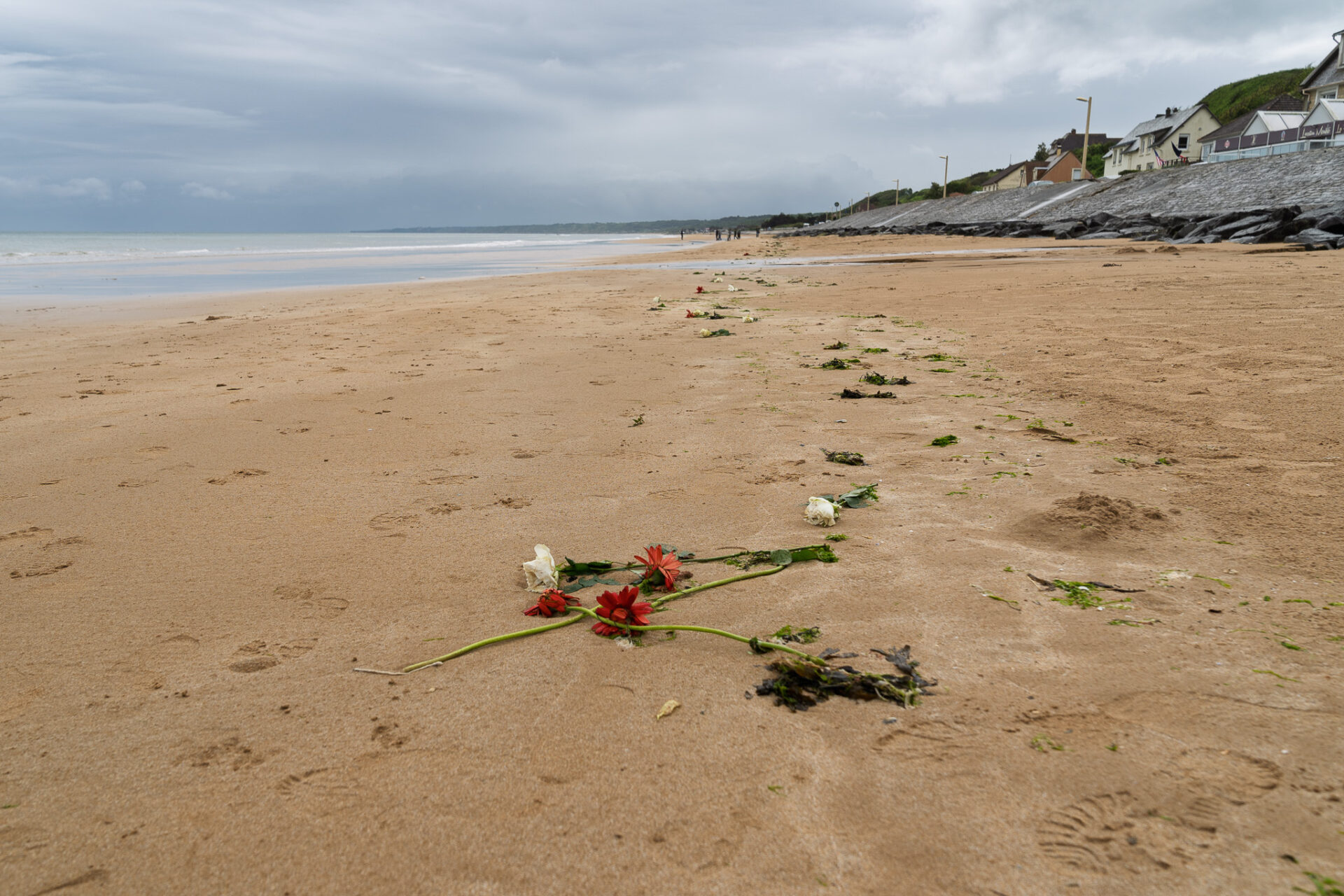 Flowers strewn along Omaha Beach on the Anniversary of D-Day